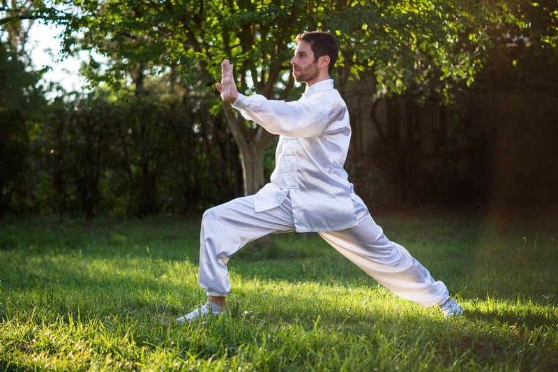Fluid Tai Chi Sequences