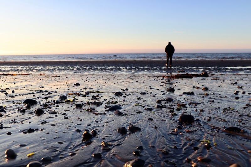 Nature Mindfulness Walks