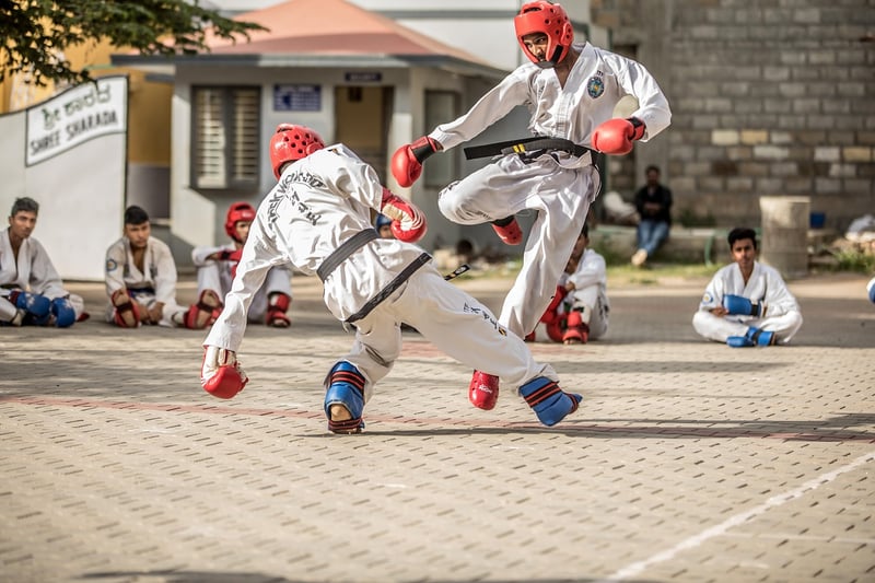 Karate practice